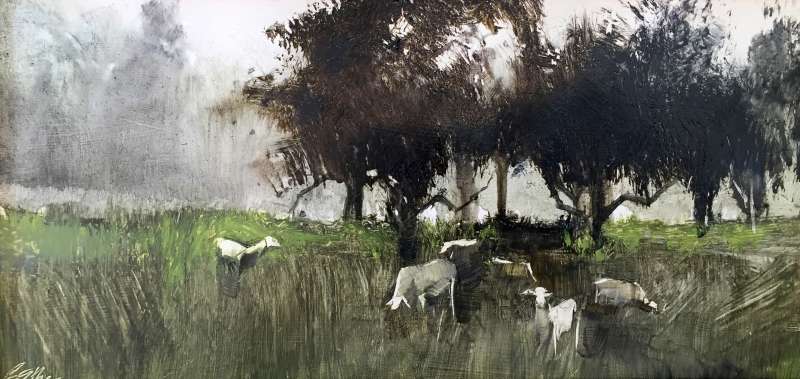 Morning Mist over Orchard
